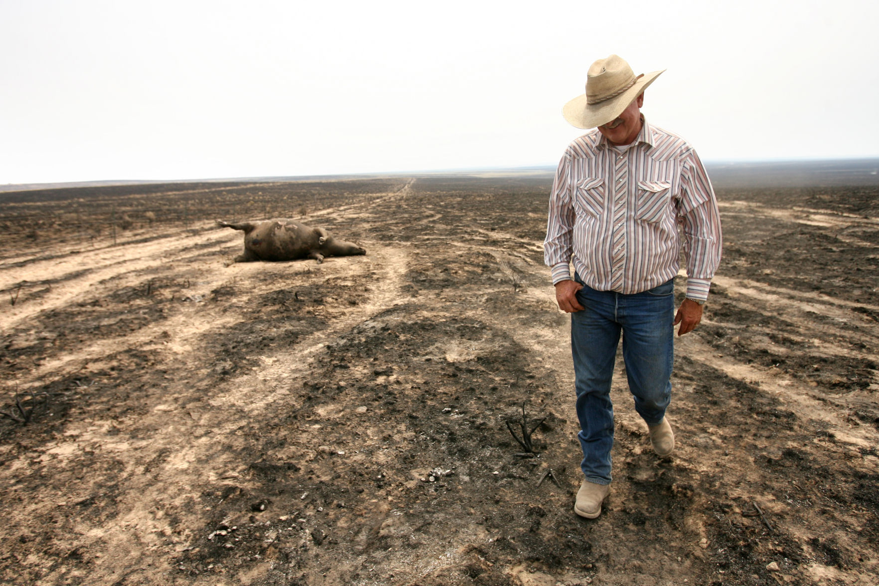Murphy Complex Fire